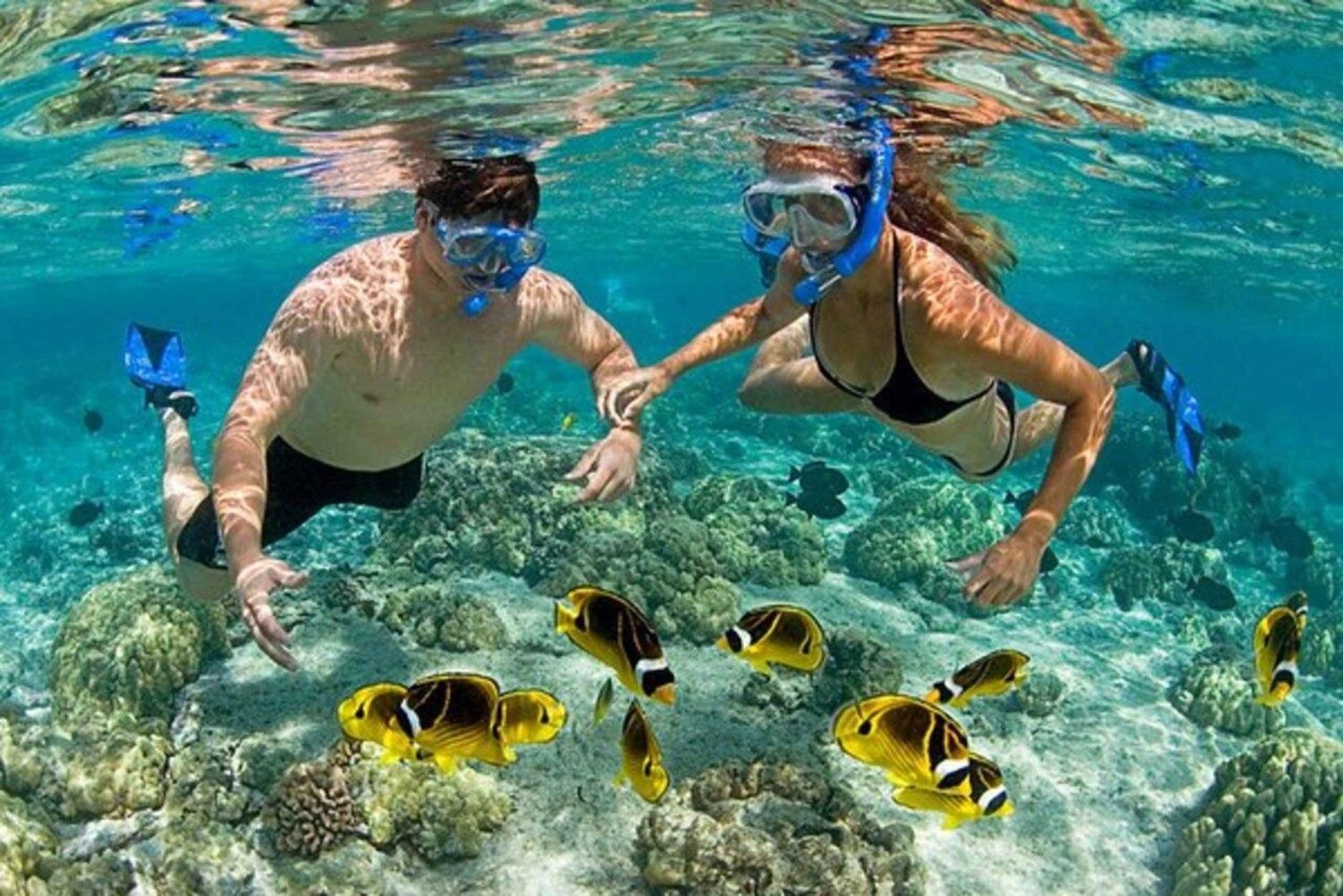 Marine Adventure